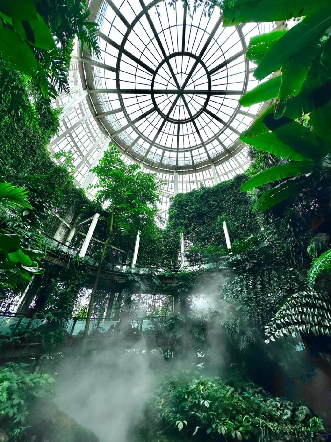 04女大📍独闯昆明 | 三天不走回头路攻略