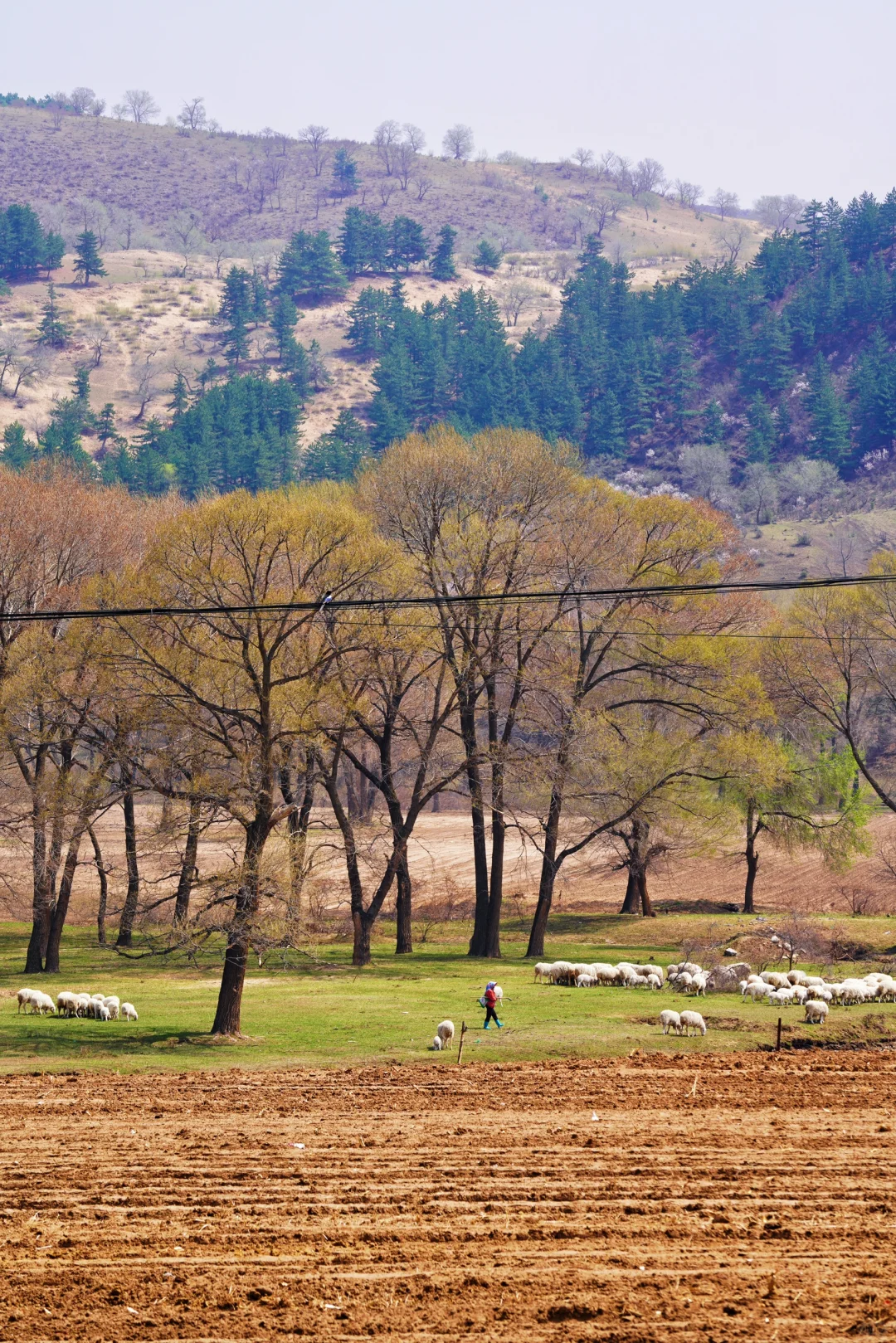 五一可以去塞罕坝乌兰布统吗？说点实在的
