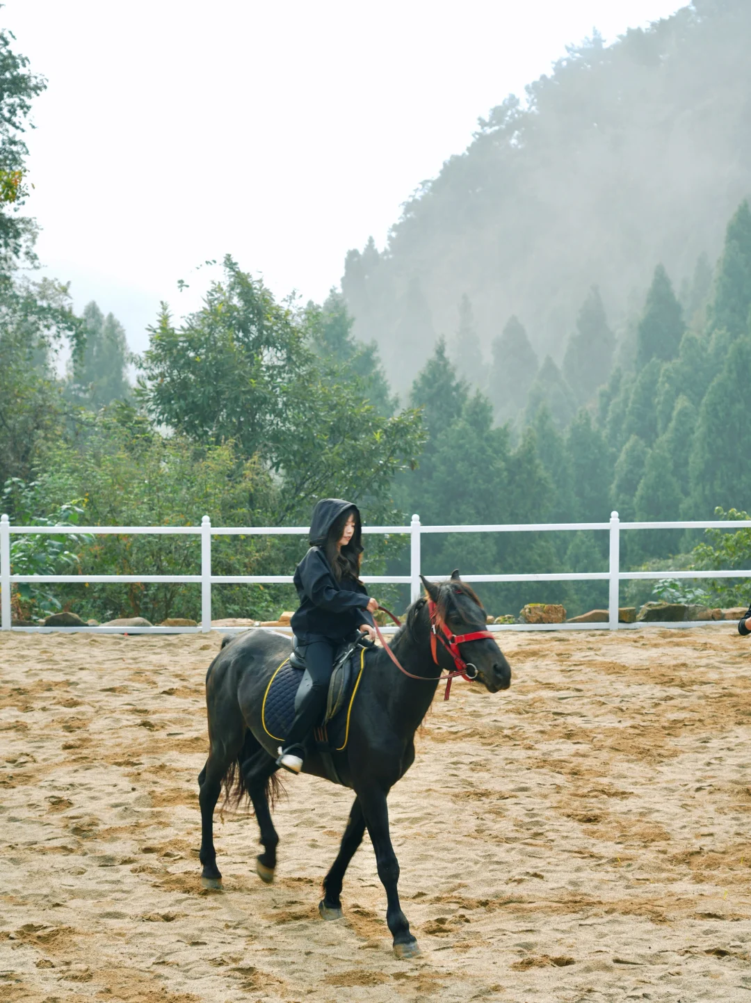 宜昌已回！坚决不删，能劝一个是一个.......