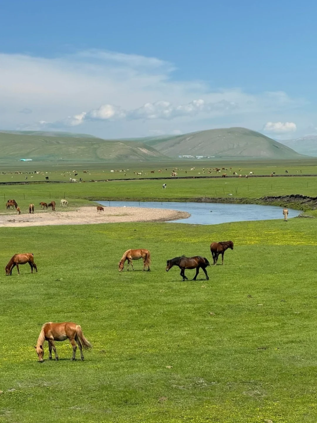 接下来内蒙古这❼个地方真的真的很绝‼️