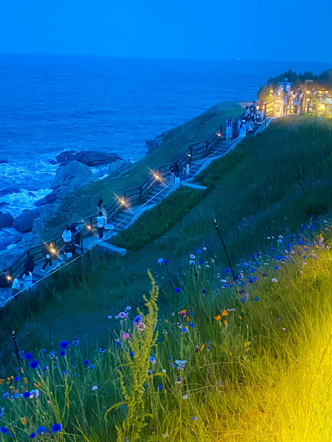 📍已经开始期待青岛的春天！