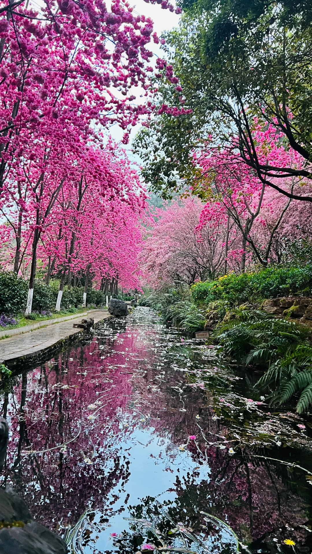 不敢想象，怎么会有这么美的地方🤩❗️❗️