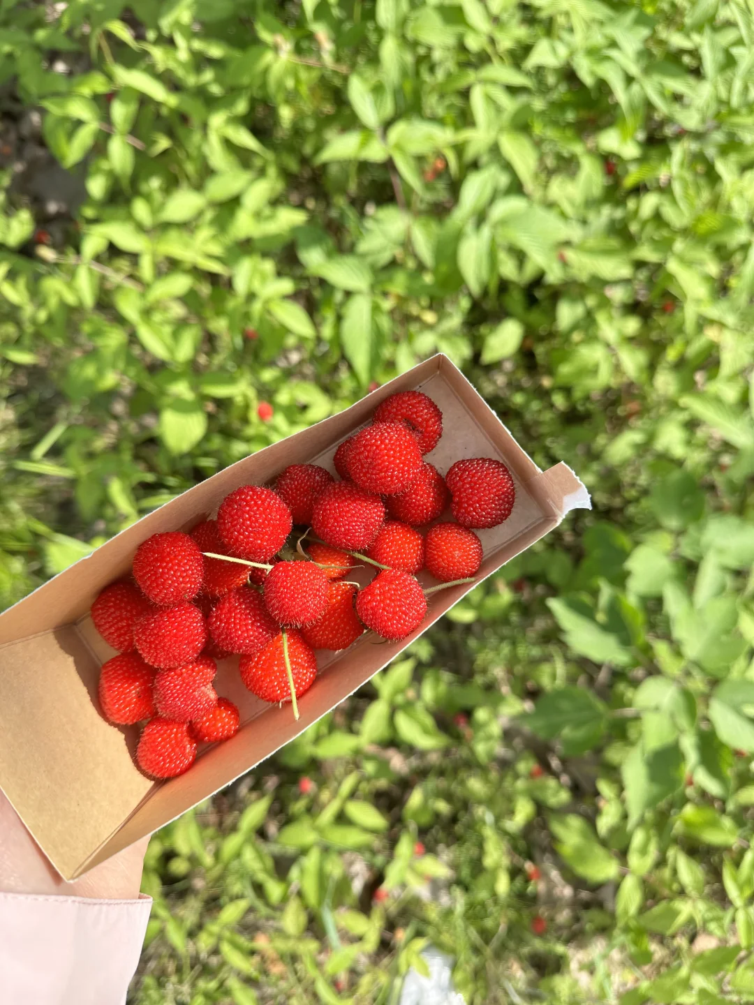 五一反向游｜河南省内小众旅行地🍃狠狠吸氧
