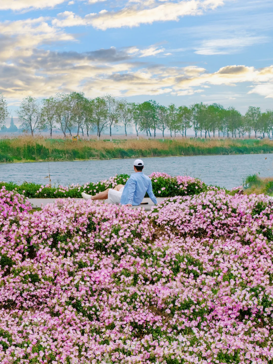 反向旅游‼️这才是淮安被严重低估的绿野仙踪