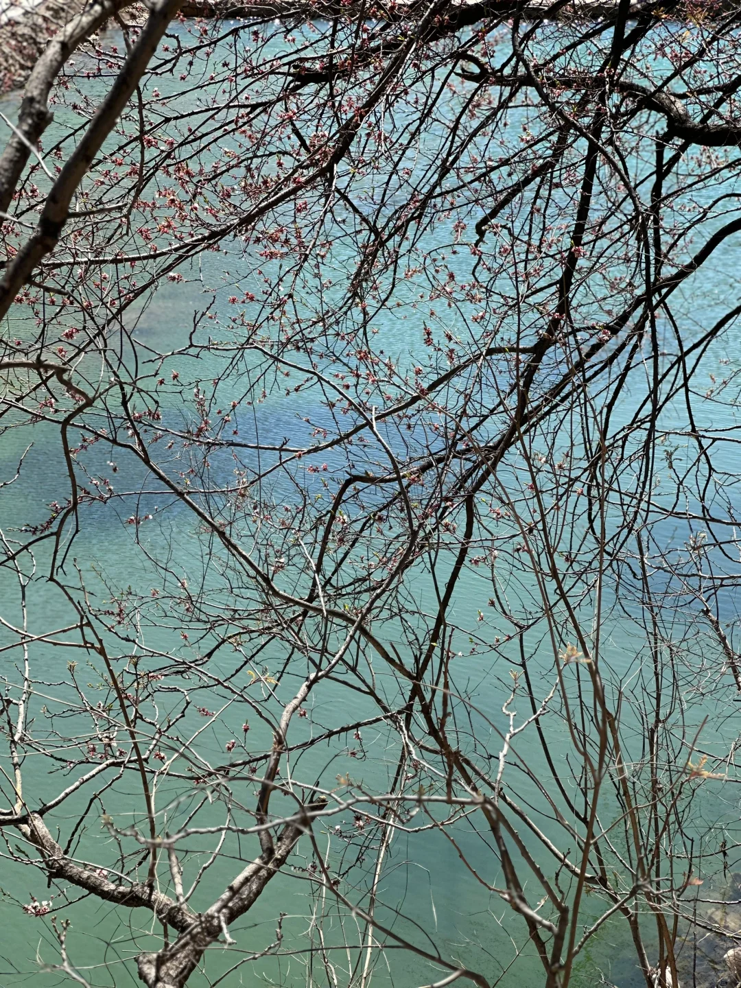 🌸属于邢台人的小九寨沟｜云梦山⛰