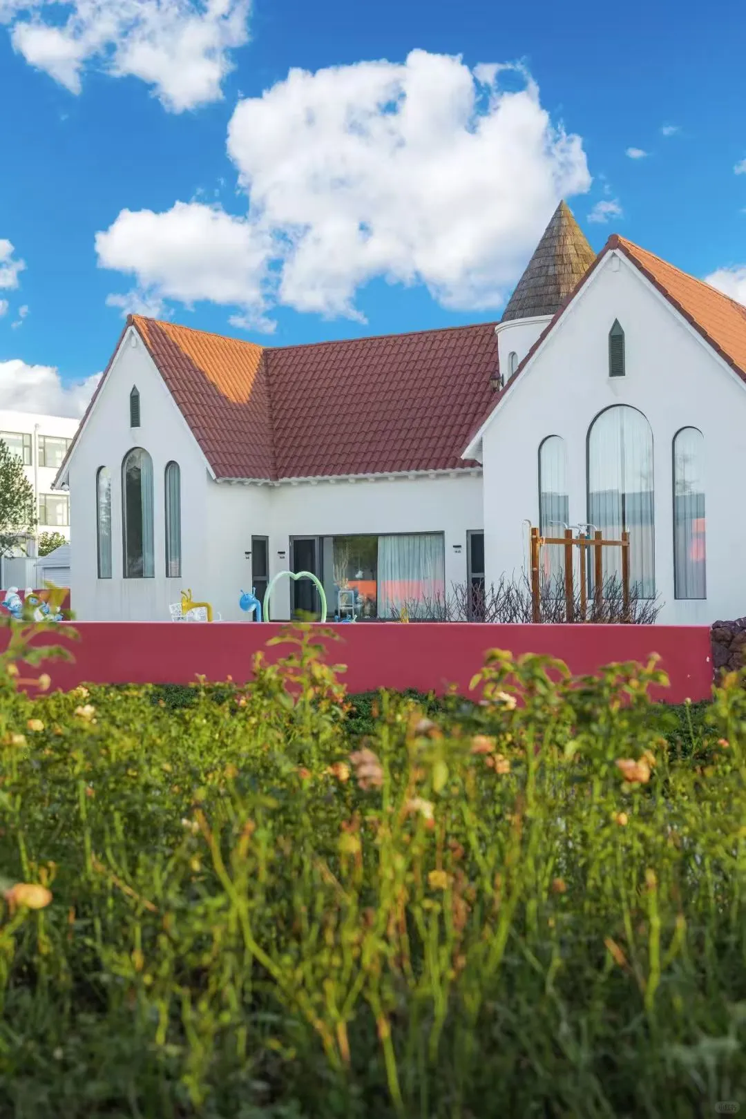 这里不是荷兰！是临沂！！！！