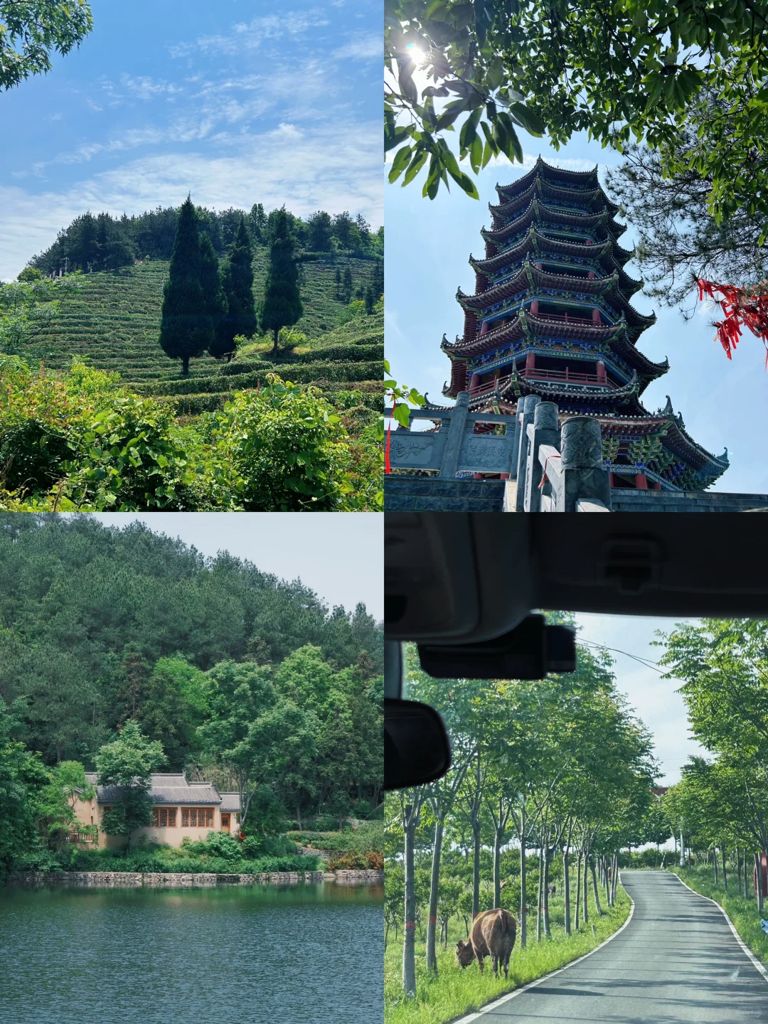 五一反向游｜河南省内小众旅行地🍃狠狠吸氧