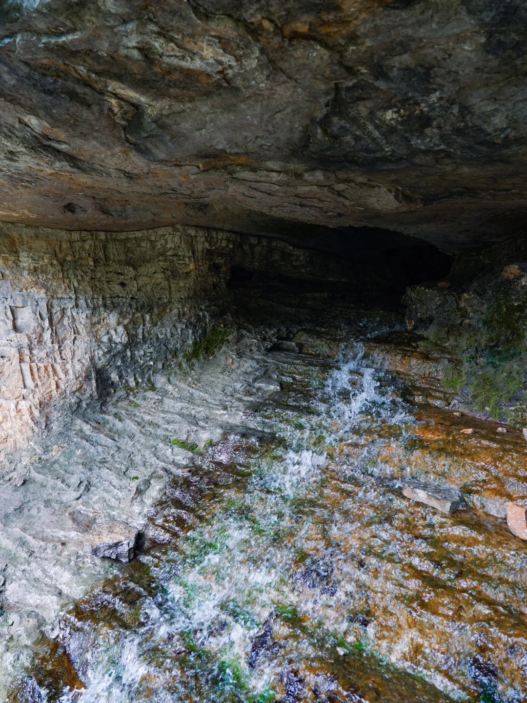 藏于山东深山的世外桃源🍃大自然空调真香