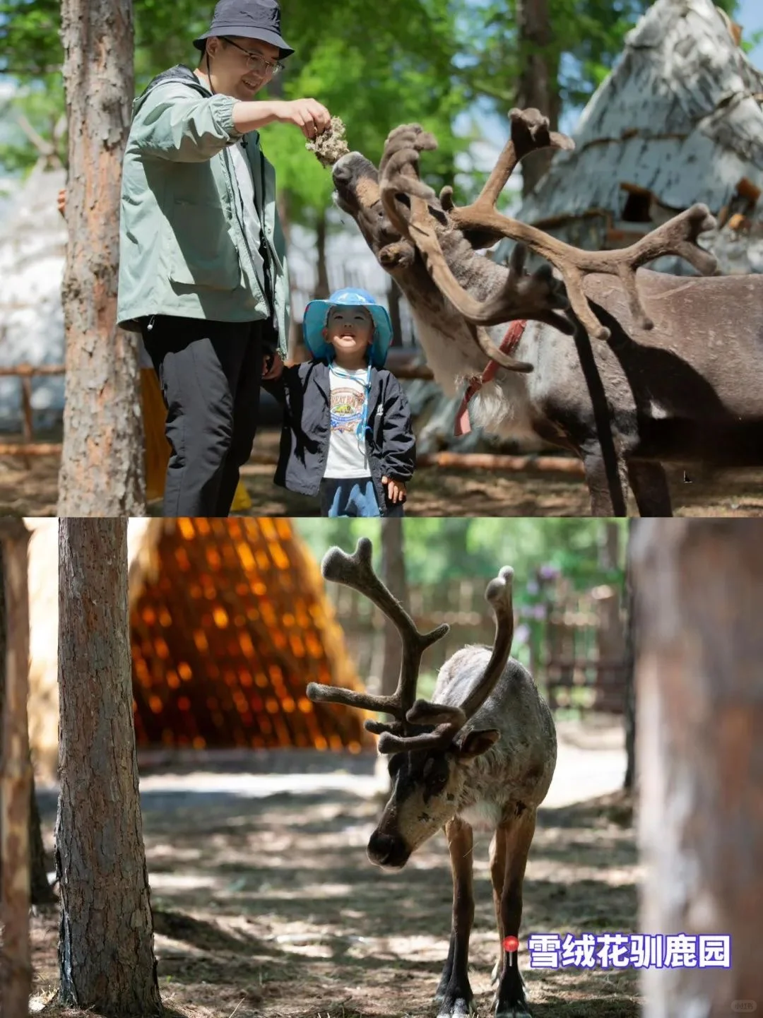 长白山景区没开？没关系！还有b计划