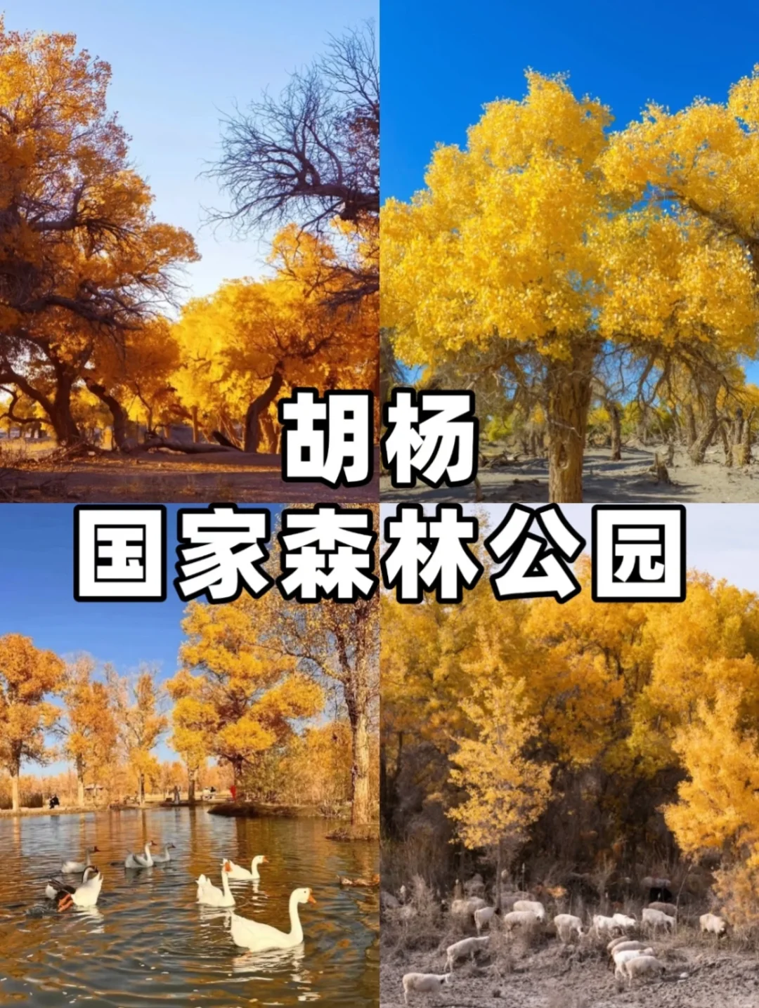 阿克苏文旅宝藏