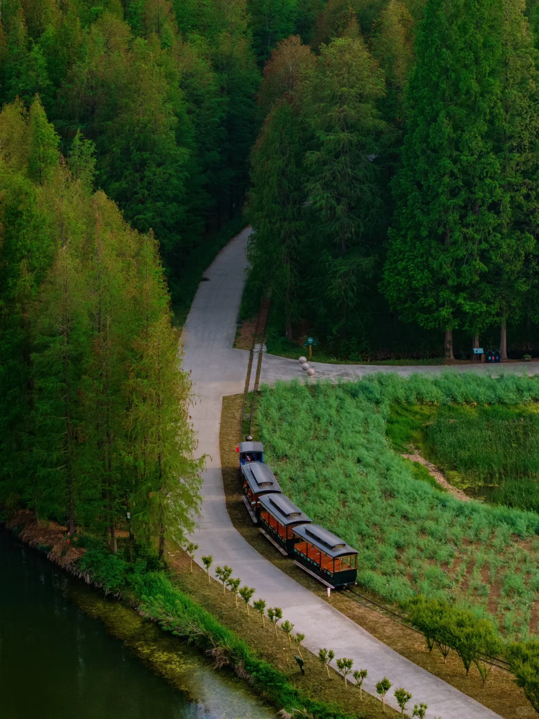 反向旅游‼️这才是淮安被严重低估的绿野仙踪