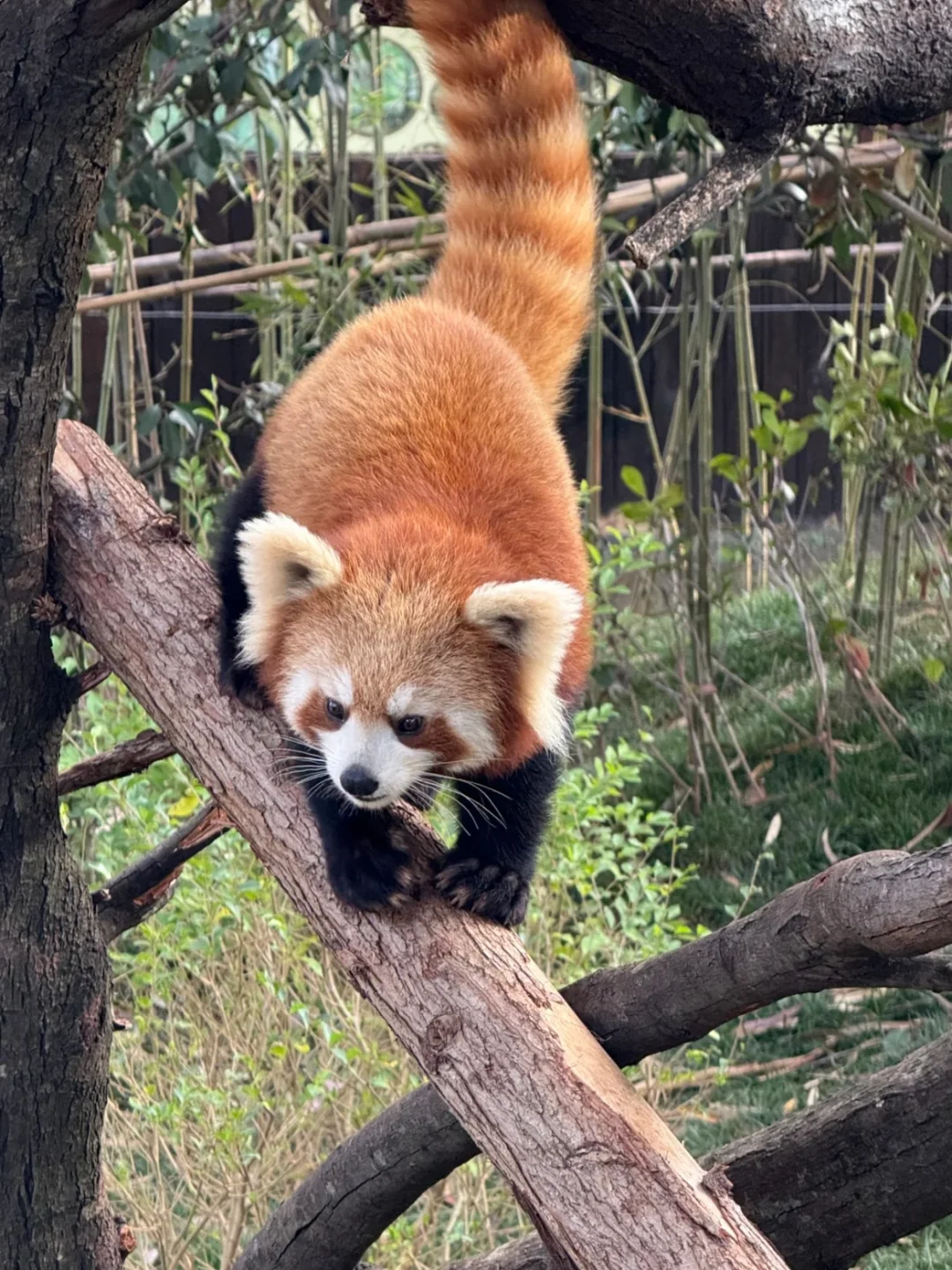 04女大📍独闯昆明 | 三天不走回头路攻略