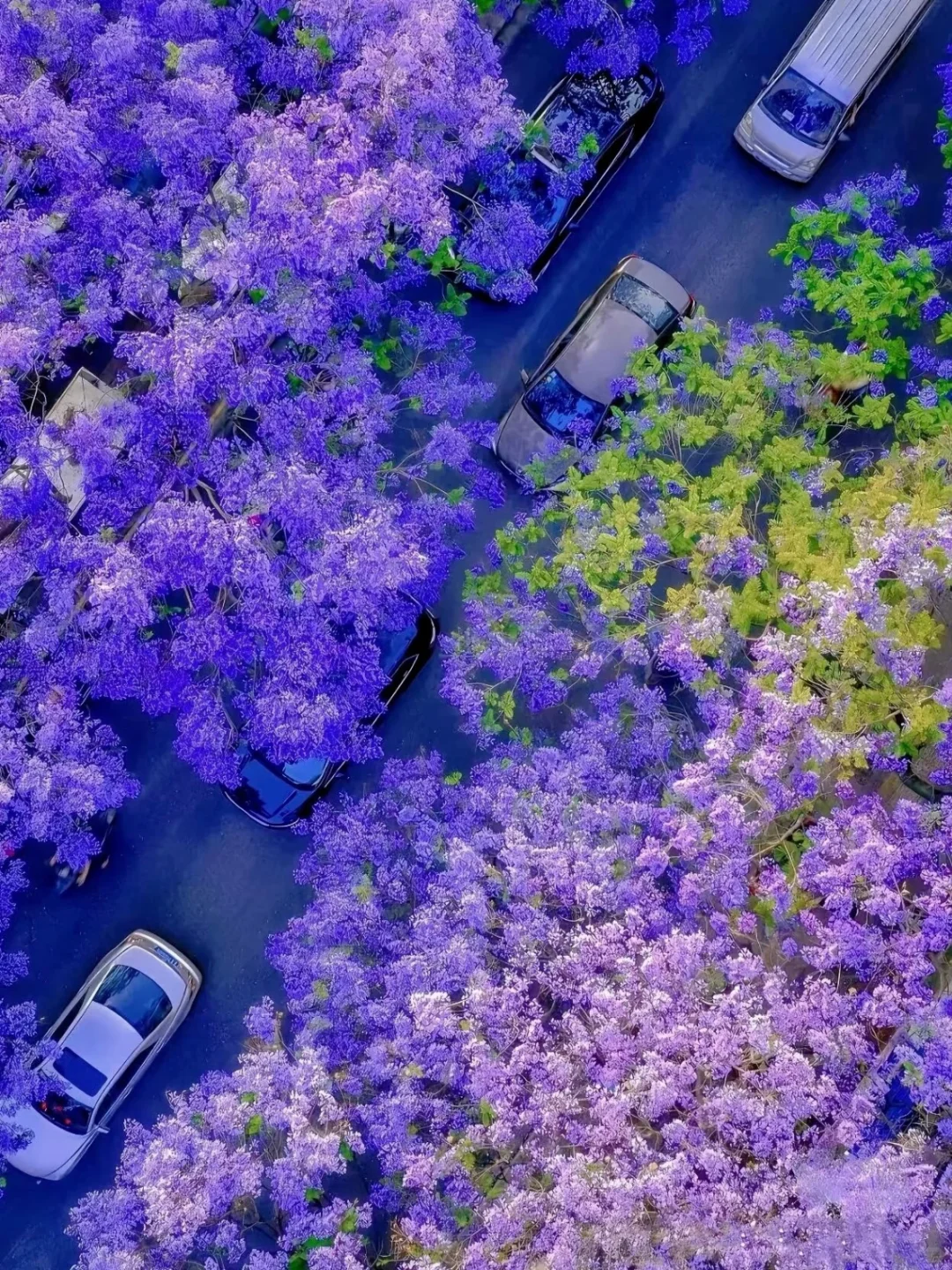 04女大📍独闯昆明 | 三天不走回头路攻略
