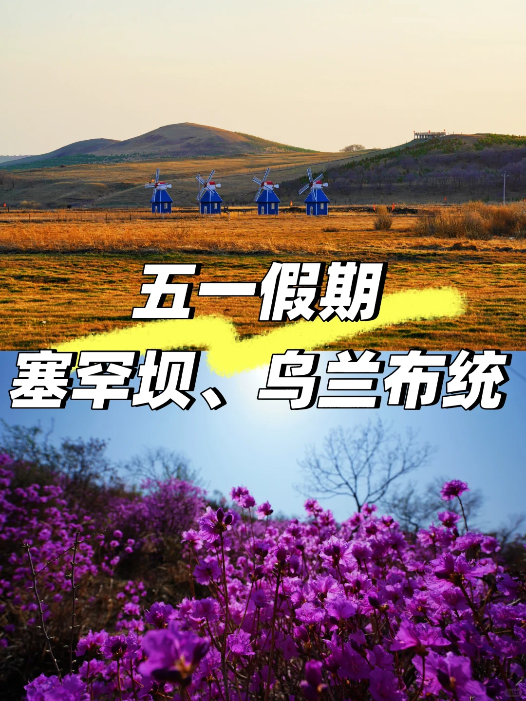 五一可以去塞罕坝乌兰布统吗？说点实在的