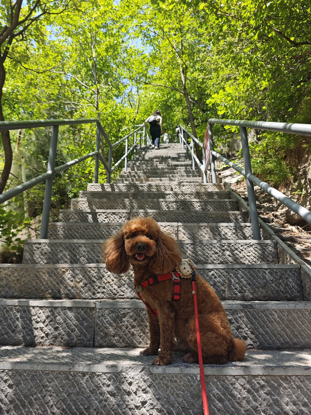 宠物友好——来淄博一定要来潭溪山
