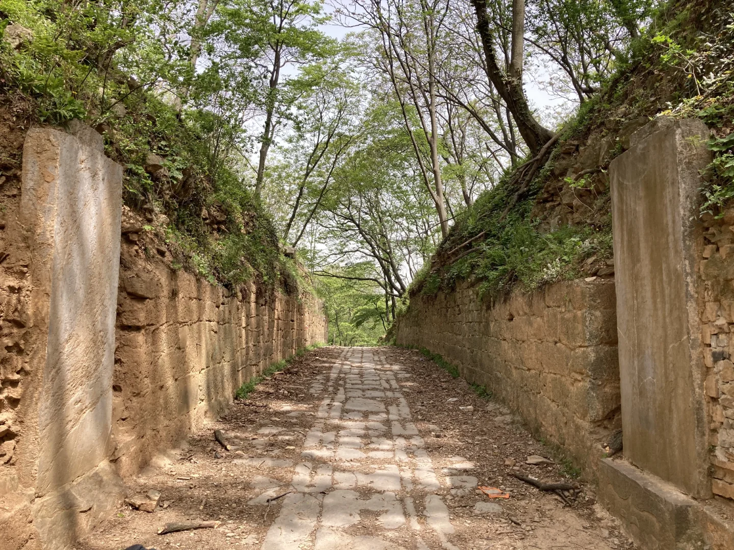 安徽滁州|清流关