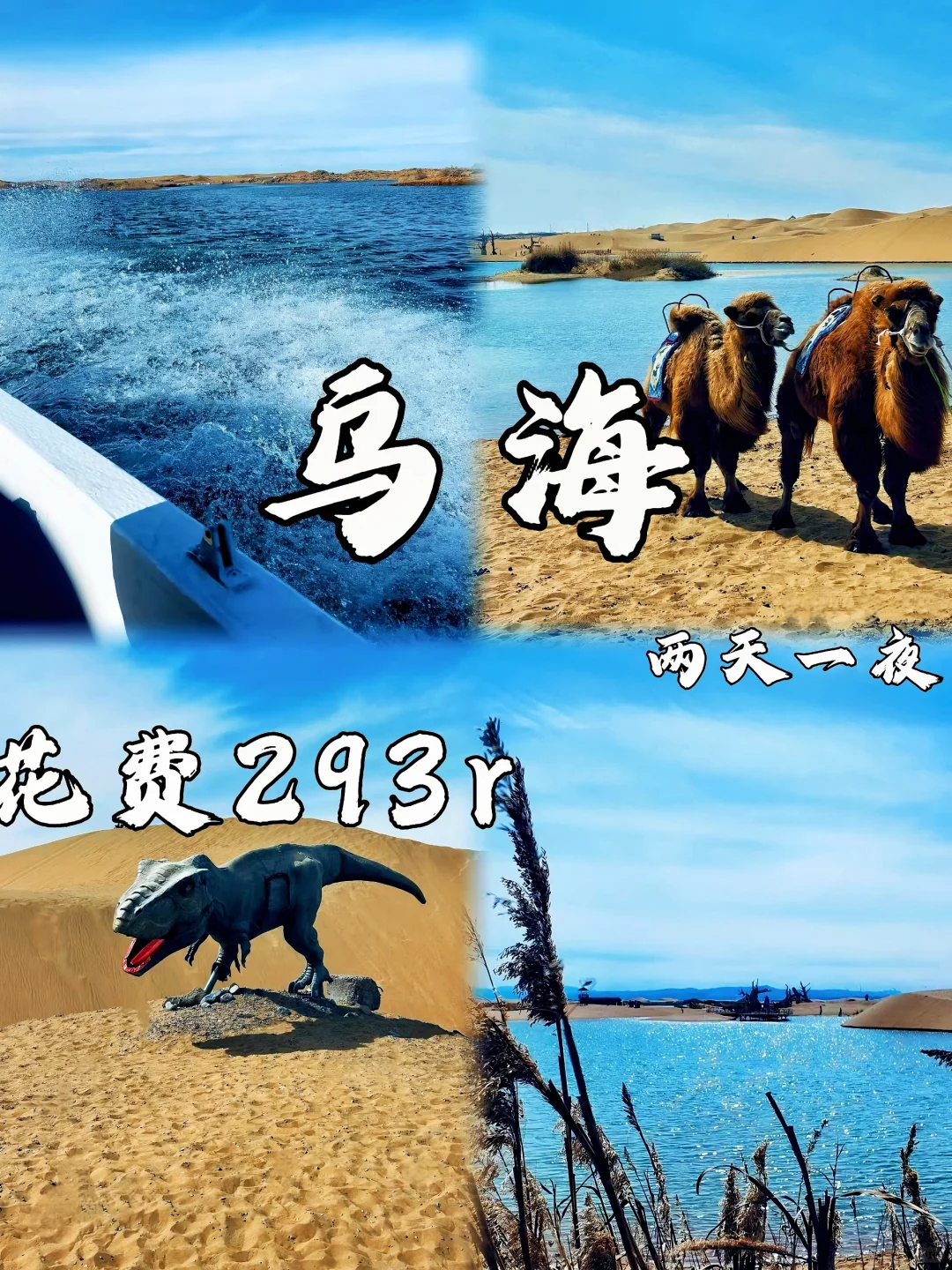 📍乌海｜04男大五一反向穷游宝藏小城🔥