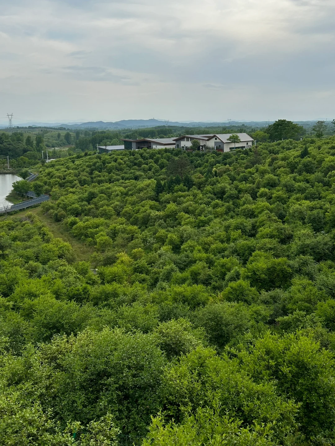 五一反向游｜河南省内小众旅行地🍃狠狠吸氧