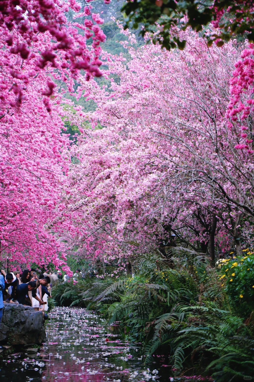 不敢想象，怎么会有这么美的地方🤩❗️❗️