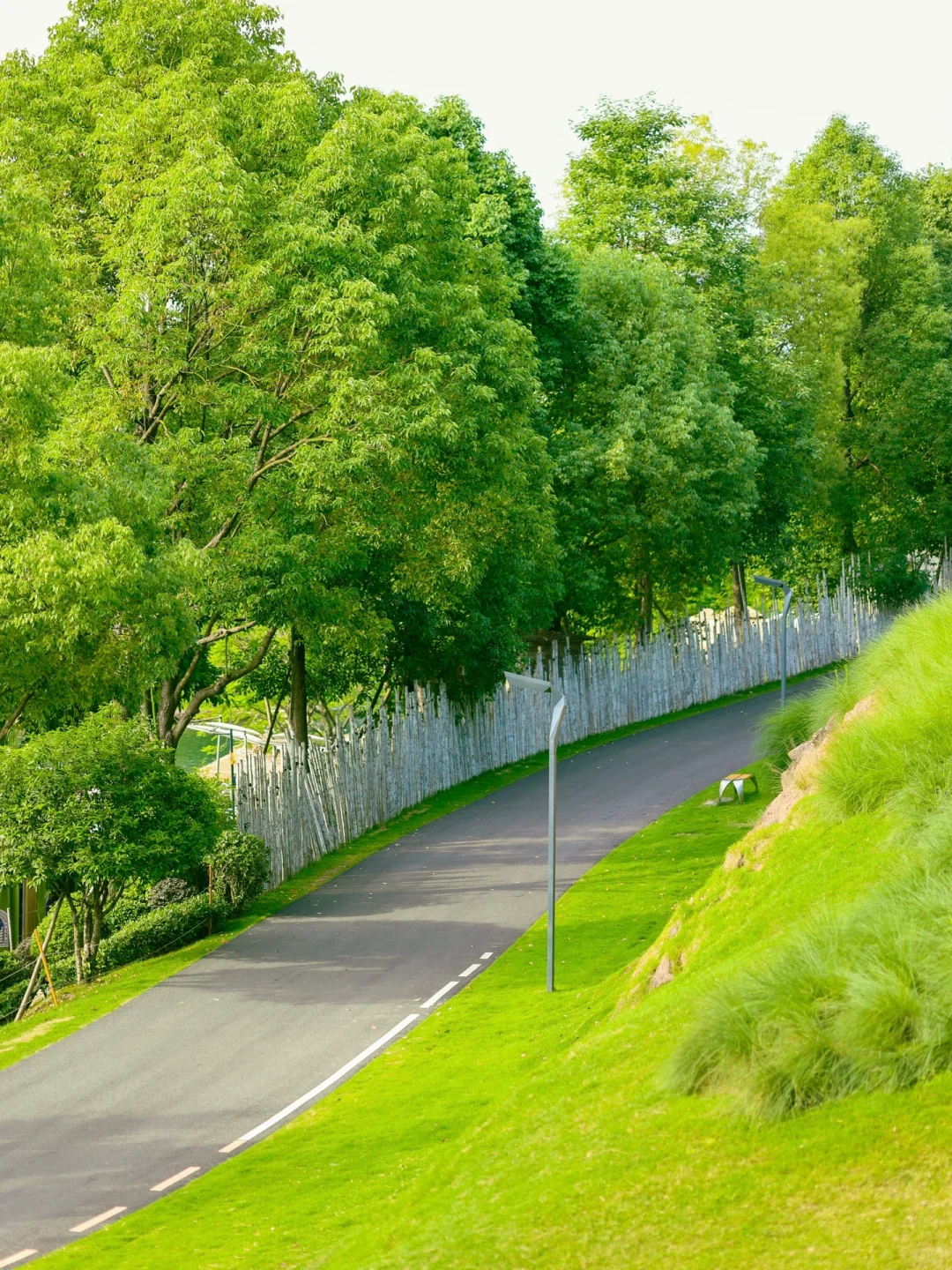 不是新西兰是成都!地铁直达现实版漫画岛!