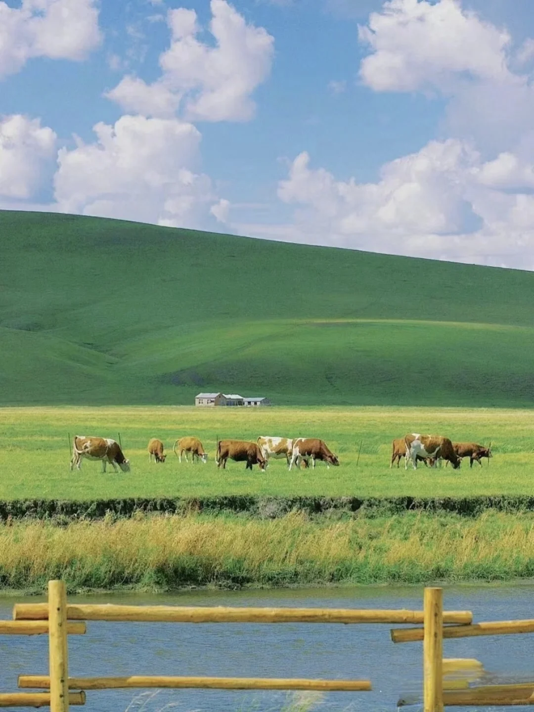 内蒙古必去九大景点✅