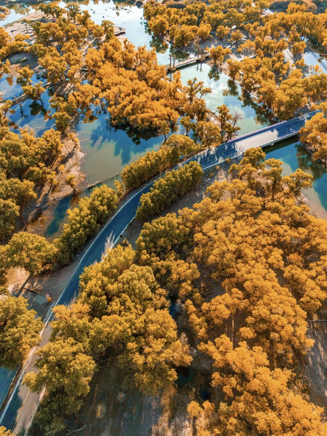 内蒙古必去九大景点✅