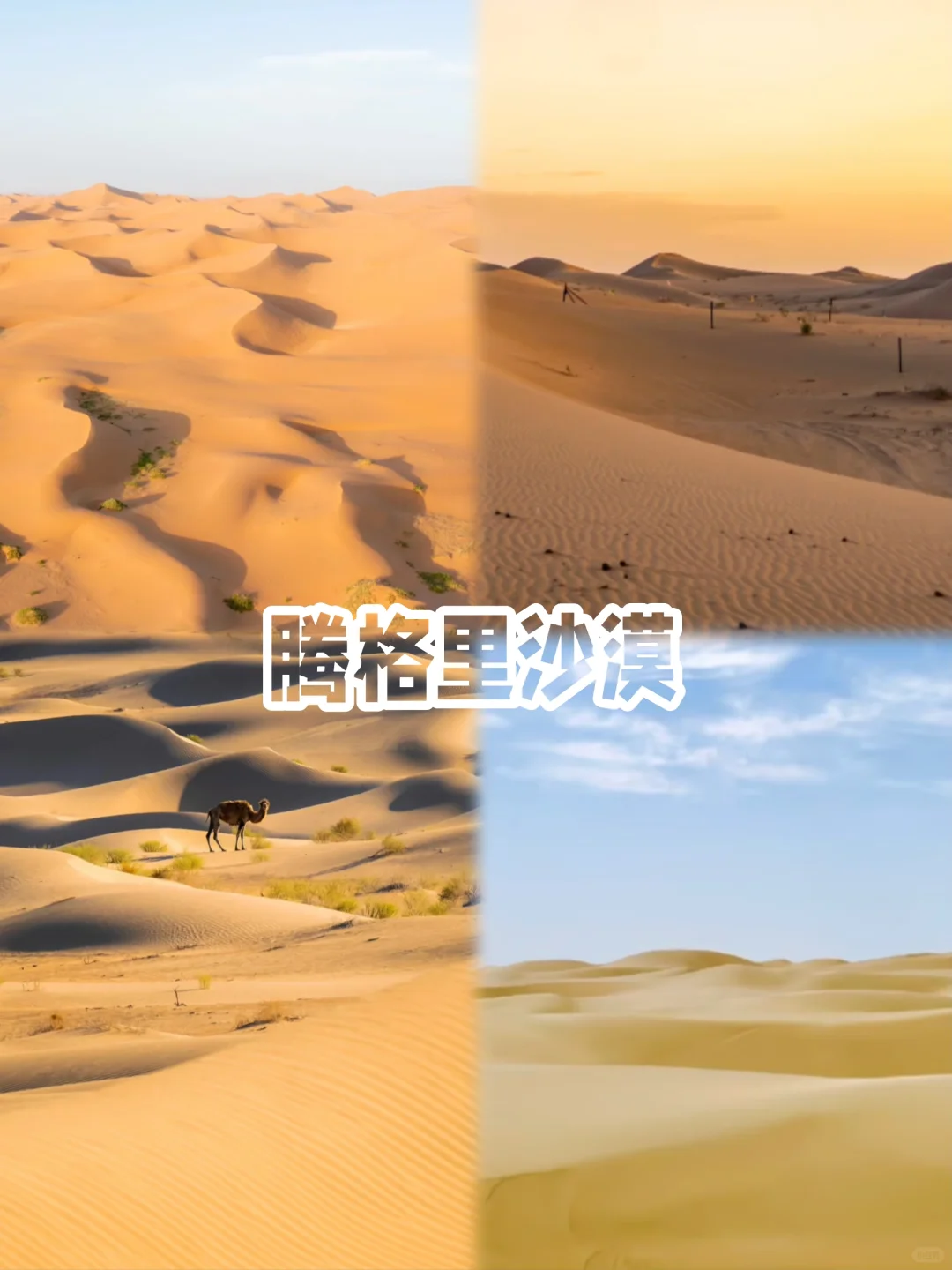 没看过《乌海》🎬但你一定要来趟乌海❗️