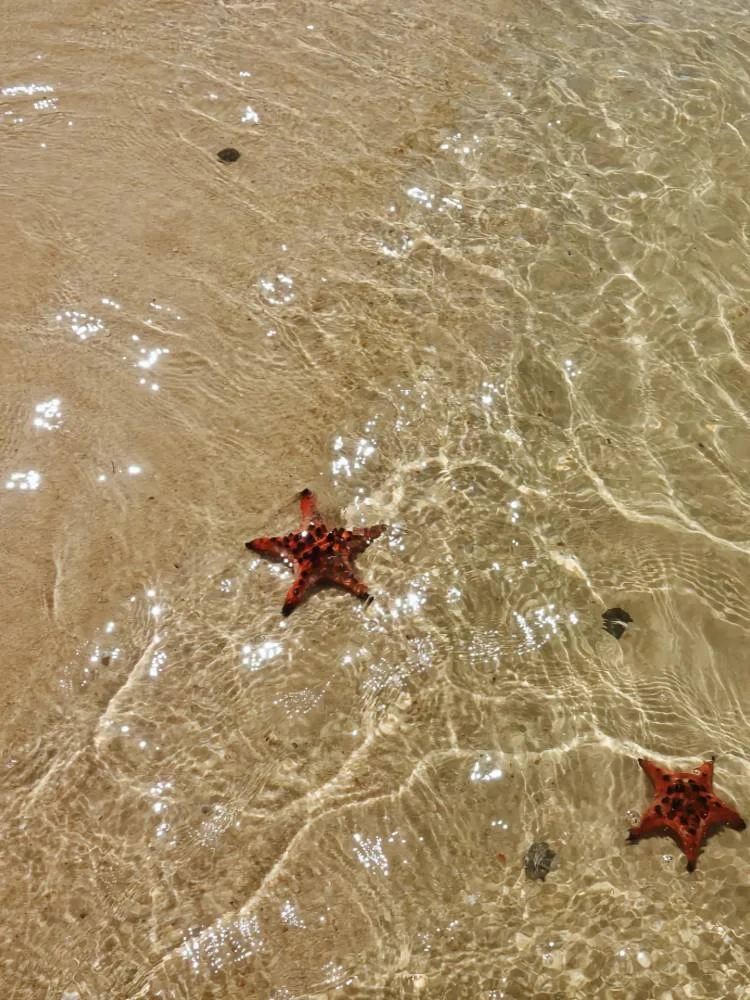 🌴人生建议：夏天一定要去趟富国岛！！