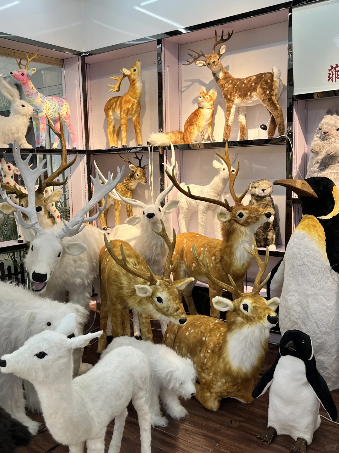 在义乌玩了2天后，我的消费观崩塌了…💔