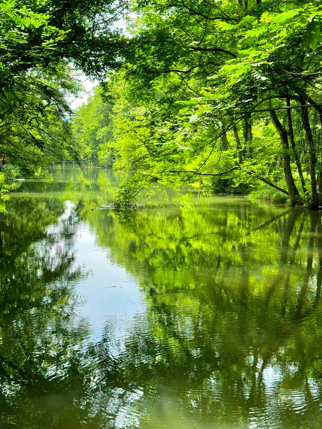 以为宏村够美了，直到我去了这里…