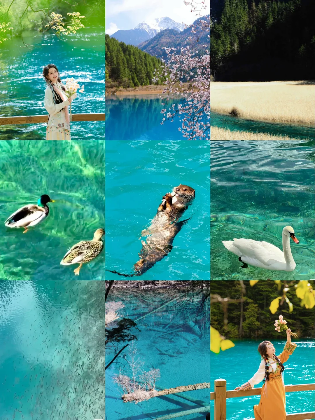 五一去九寨沟+四姑娘山‼️定制游超省心