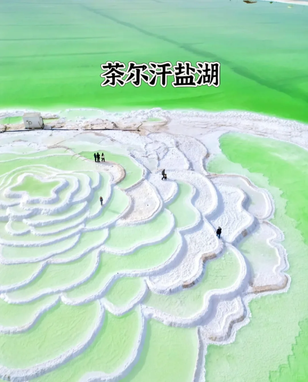 🏔️西北旅游7天6晚攻略来啦‼️