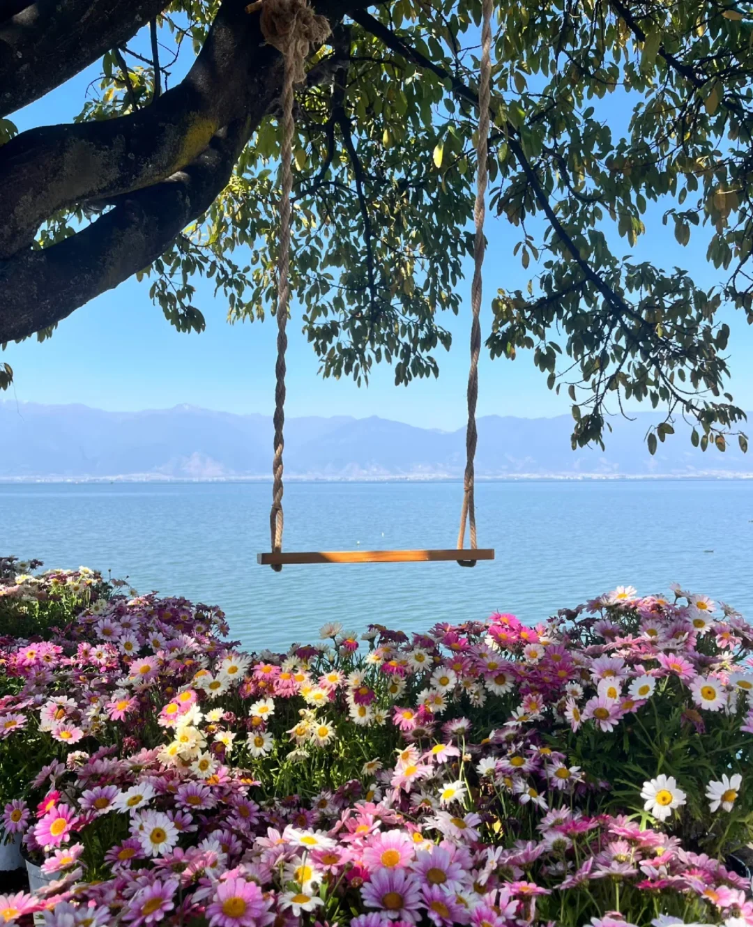 04女大📍大理三日游不走回头路线攻略❗️