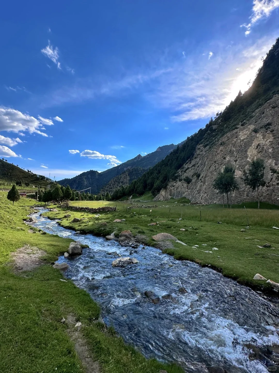 🌳比阿勒泰便宜五倍被青海低估的小众地方