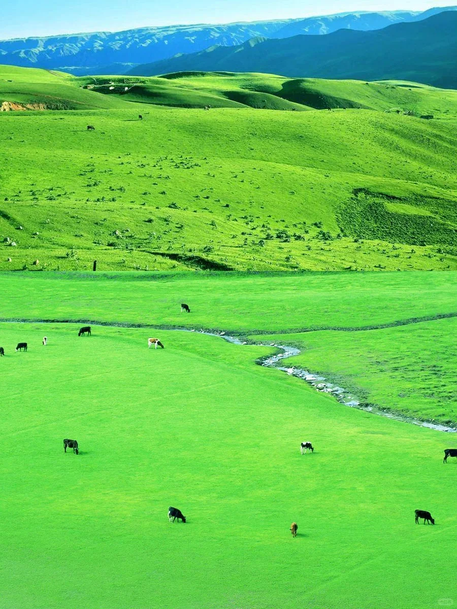 🌳比阿勒泰便宜五倍被青海低估的小众地方