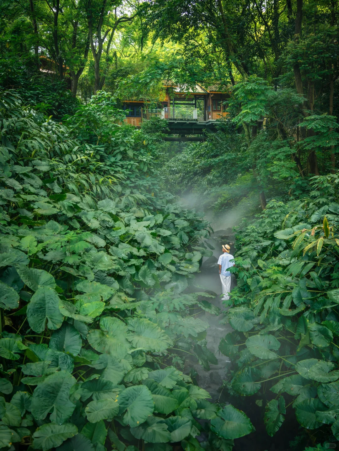 来重庆不要只去洪崖洞，很推荐这个小众古村
