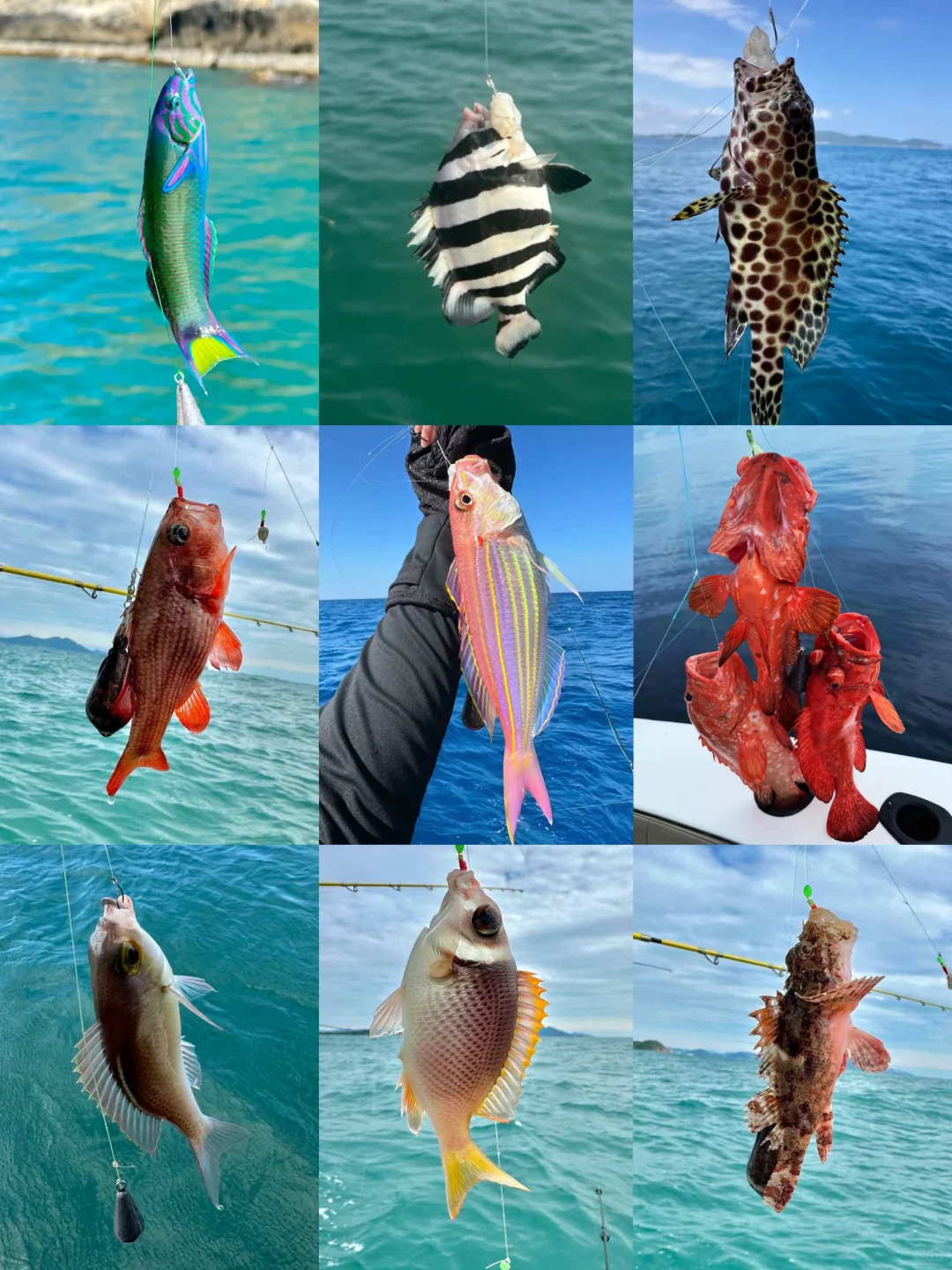 在平潭花的最值的一笔！！195💰海钓（附攻略）