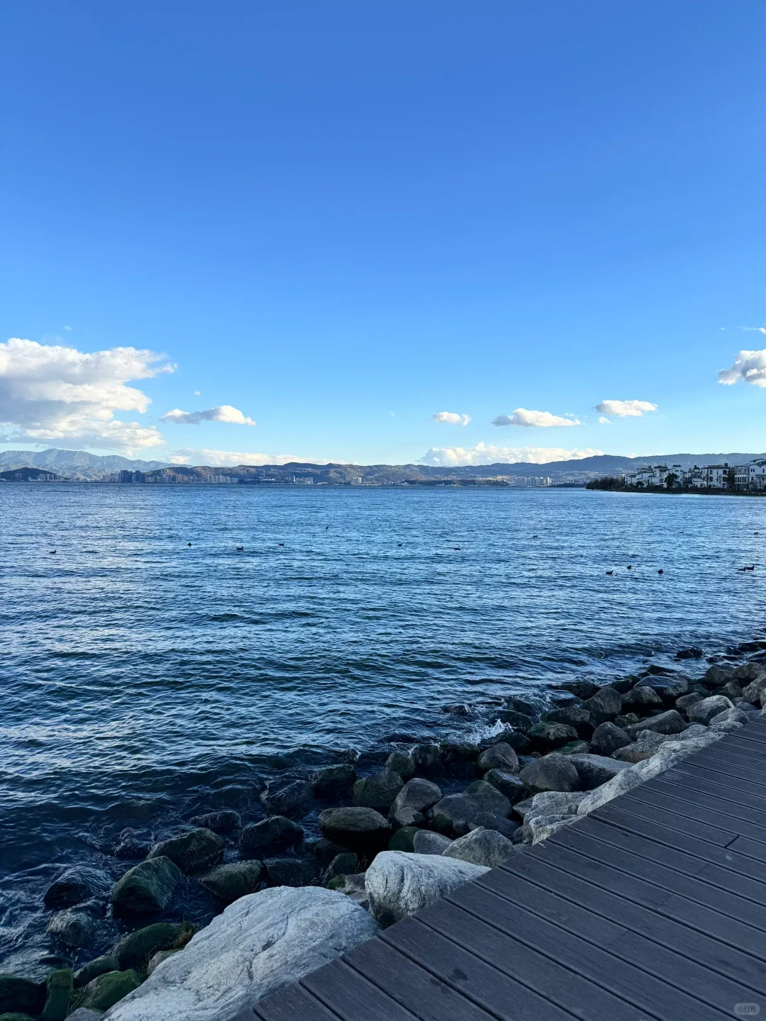 04女大📍大理三日游不走回头路线攻略❗️