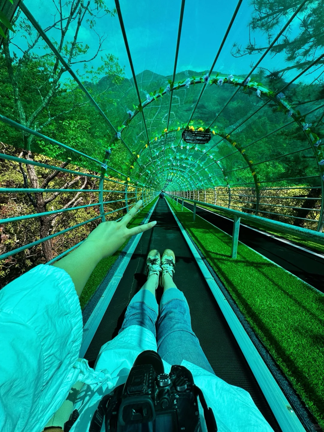 五一别再去挤黄山了！来爬这个“无痛山”