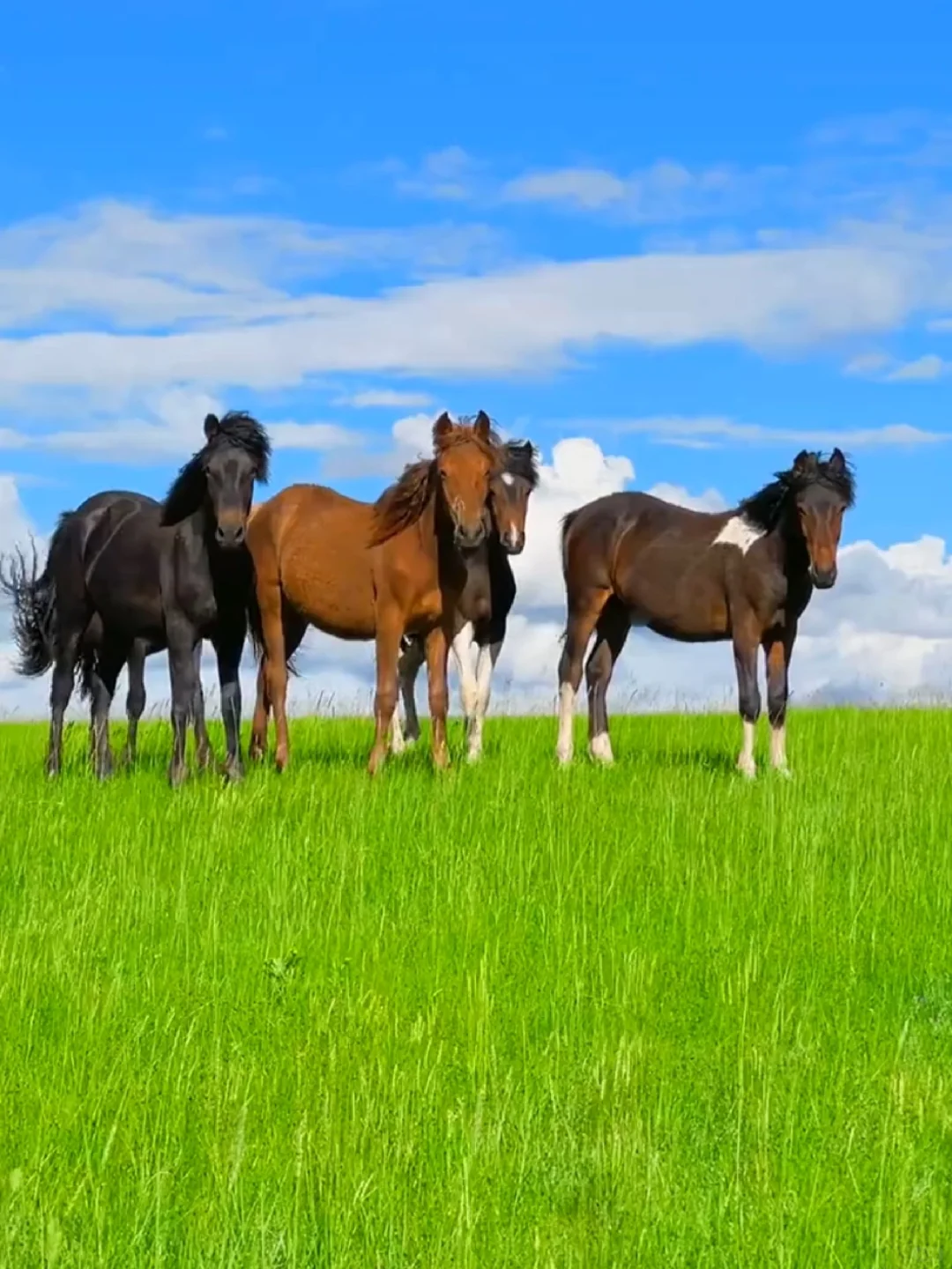 📍北国秘境被我找到了！这才是夏天的正确