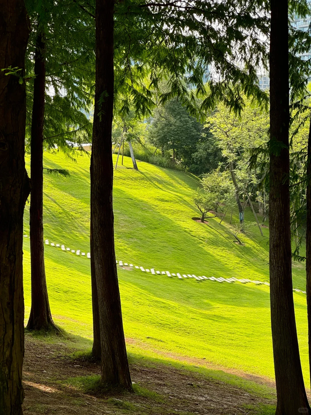 不是新西兰是成都!地铁直达现实版漫画岛!