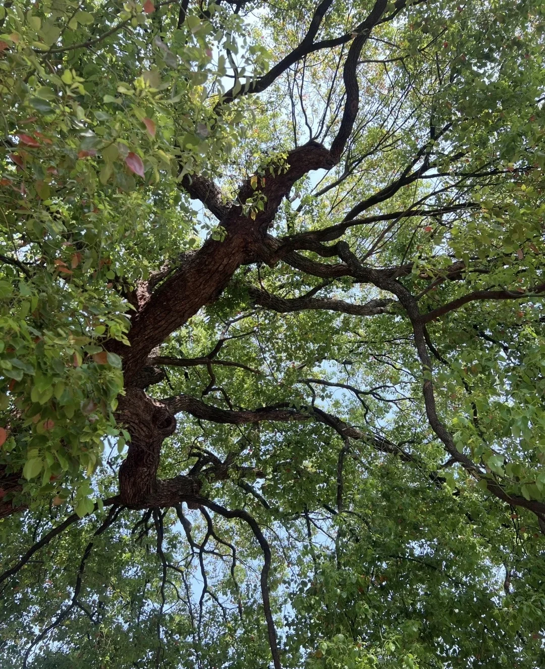 江西游记｜化身锦鲤游千年瓷都～❤️