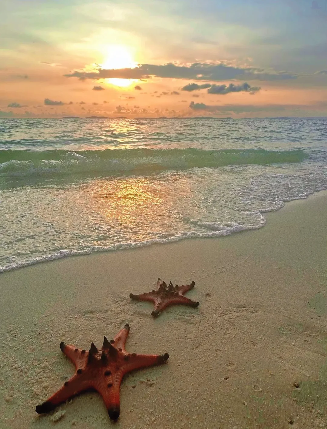 🌴人生建议：夏天一定要去趟富国岛！！
