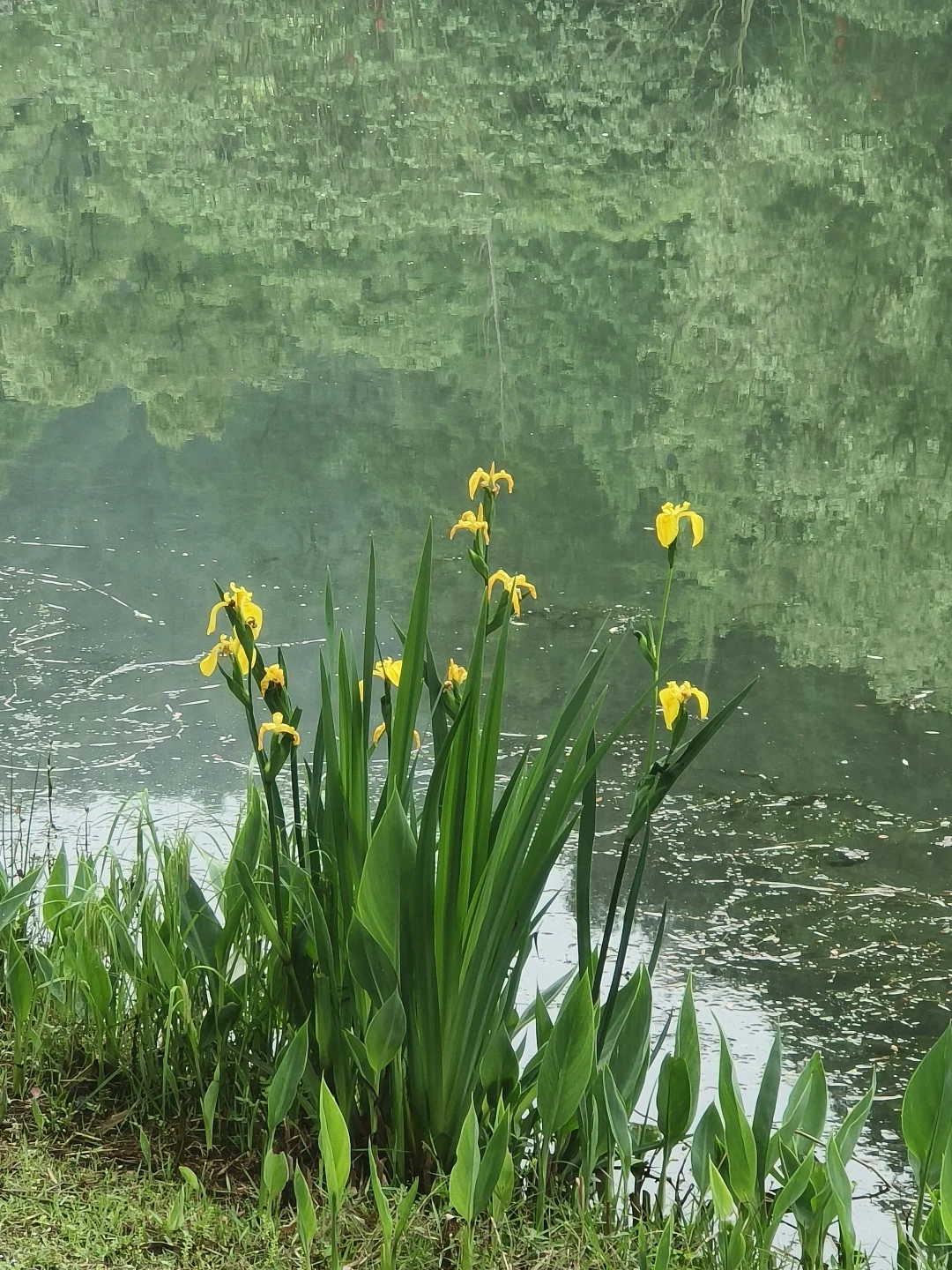 五一旅行人太多❓