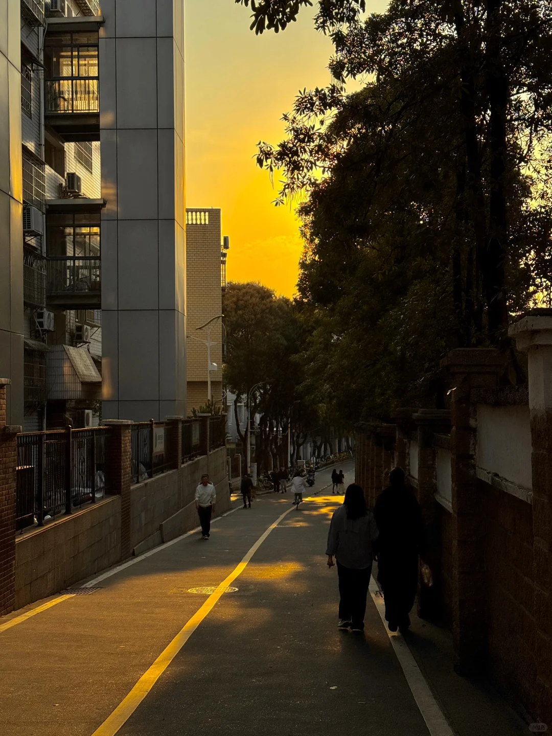 集美大社真的会惩罚每个不看攻略的人…🙏🙏