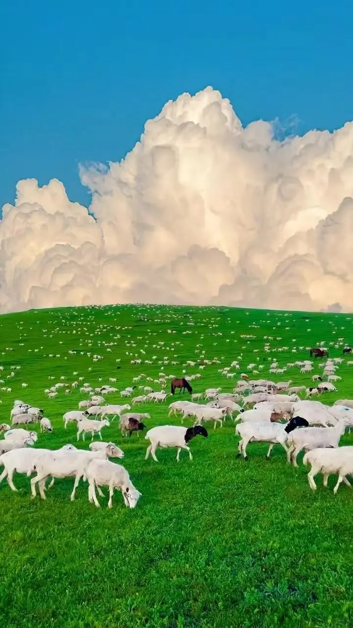 📍北国秘境被我找到了！这才是夏天的正确