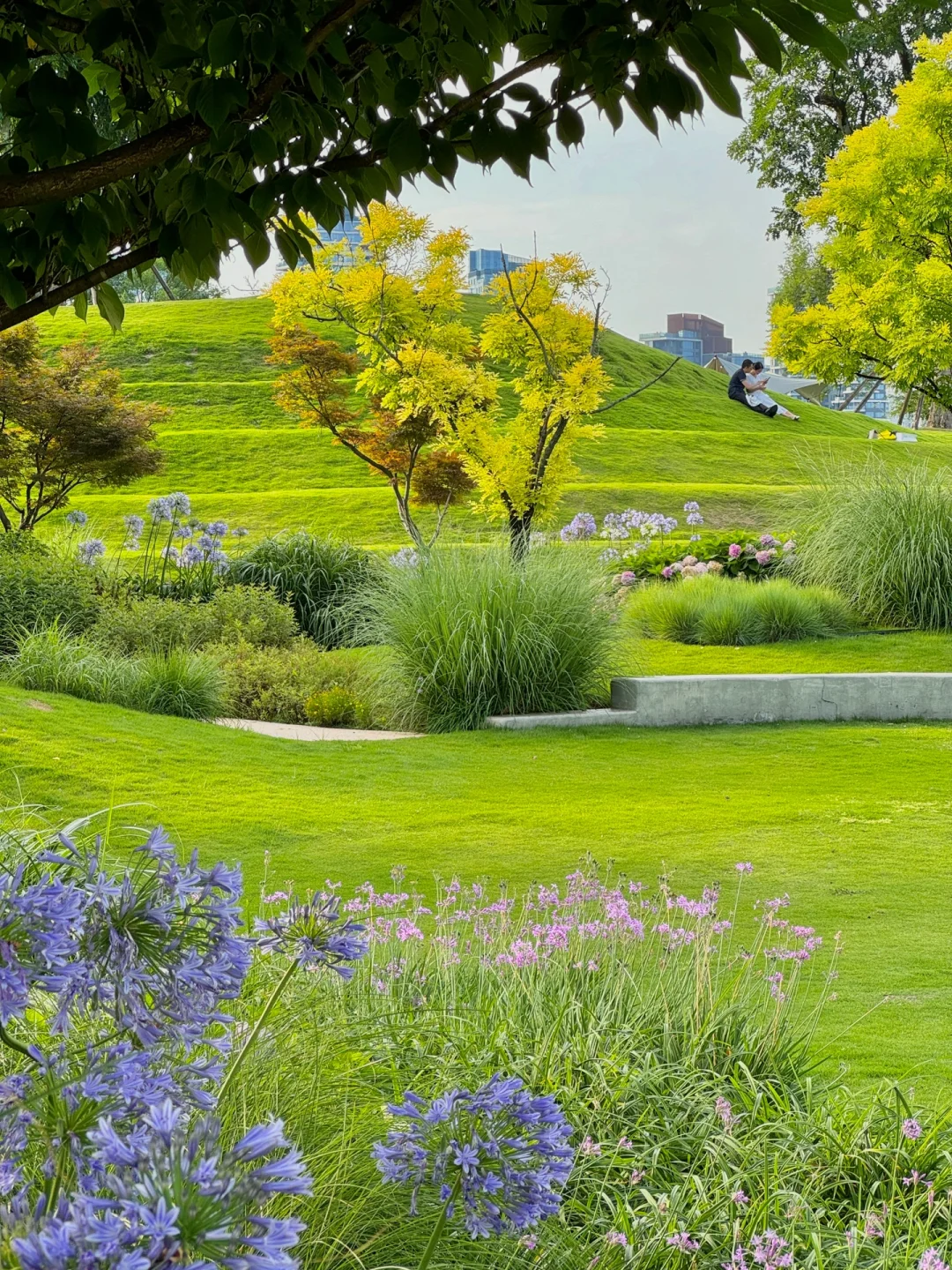 不是新西兰是成都!地铁直达现实版漫画岛!