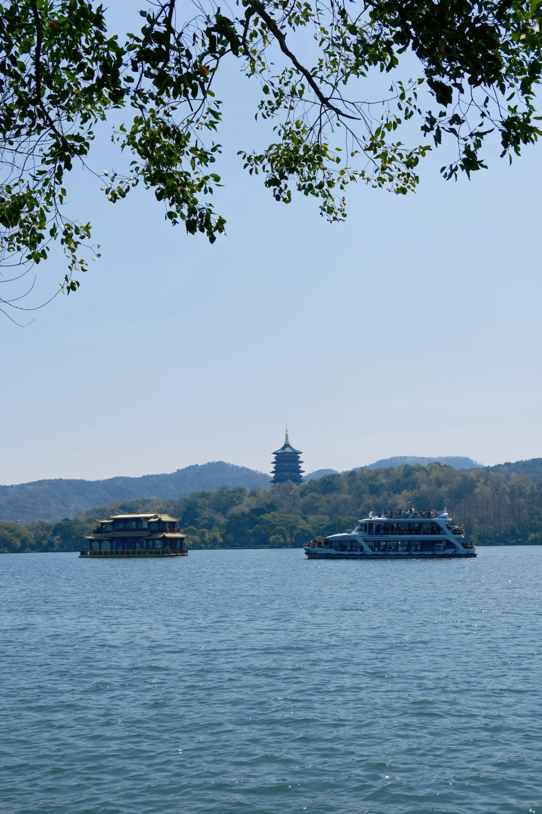 杭州｜谁还没被西湖治愈了呢🎋