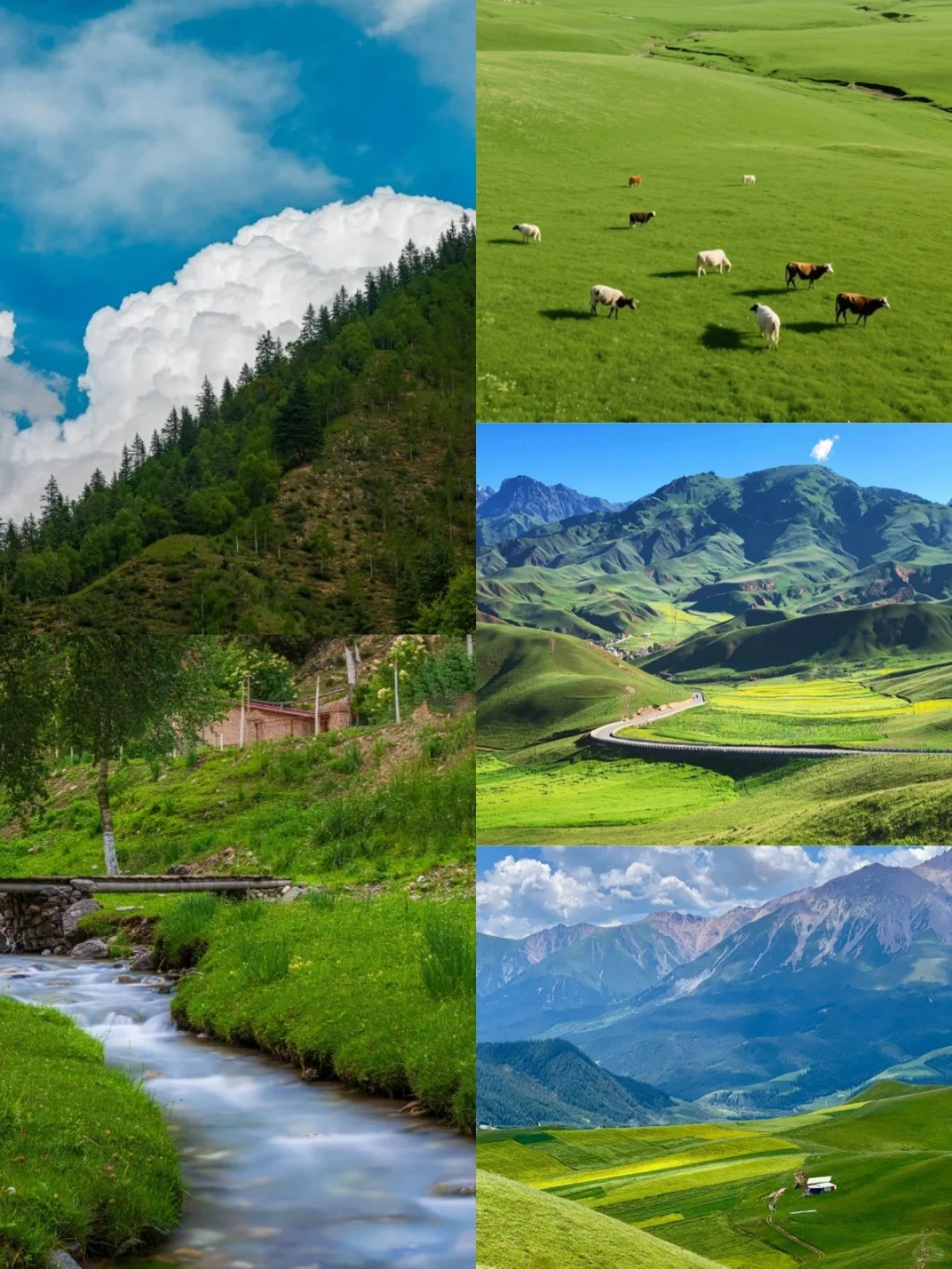 🌳比阿勒泰便宜五倍被青海低估的小众地方