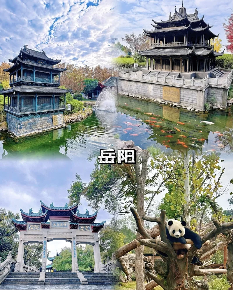 五一反向出游推荐｜避开人潮｜全家老小都爱🌟